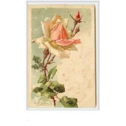 n°54 - Catharina Klein -...