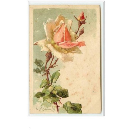 n°54 - Catharina Klein - Carte Gaufrée - Rose rose et blanche