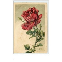 n°55 - Catharina Klein -...