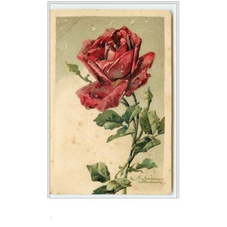 n°55 - Catharina Klein - Carte Gaufrée - Rose rouge