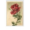 n°55 - Catharina Klein - Carte Gaufrée - Rose rouge