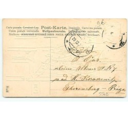 n°5542 - Carte légèrement Gaufrée - Herzlichen Glückwunsch zum neuen Jahre - Enfant et cochon devant une porte