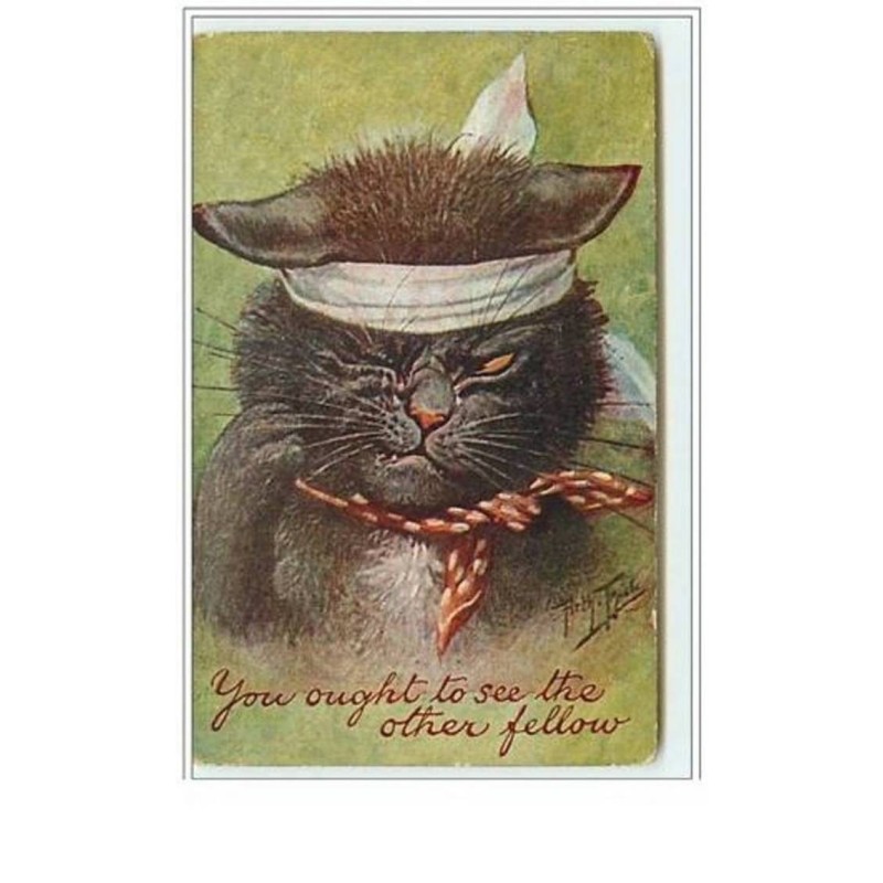n°5572 - Arthur Thiele - You ought to see the other fellow - Chat