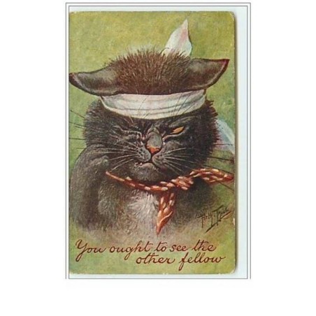 n°5572 - Arthur Thiele - You ought to see the other fellow - Chat
