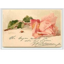 n°5574 - Catharina Klein -...
