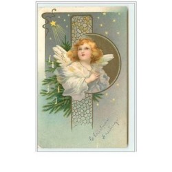 n°5599 - Clapsaddle - Ange