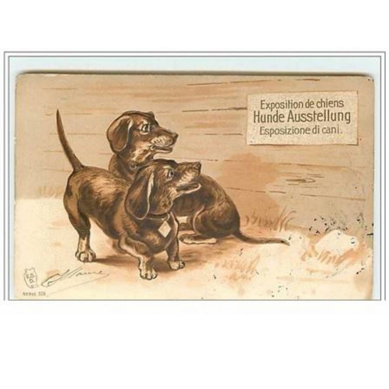 n°5649 - Carte Gaufrée - Exposition de chiens - Teckels