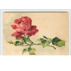 n°57 - Catharina Klein -...