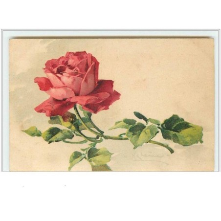 n°57 - Catharina Klein - Rose rouge