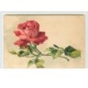 n°57 - Catharina Klein - Rose rouge
