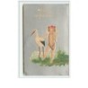 n°5700 - Carte Gaufrée - Hearty Congratulations - Ange et cigogne