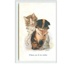 n°577 - Chat - N'abusez pas...