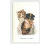 n°577 - Chat - N'abusez pas de ma candeur -  A. Wuyts