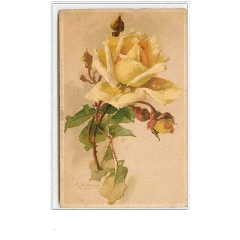 n°58 - Catharina Klein - Rose jaune