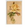 n°58 - Catharina Klein - Rose jaune