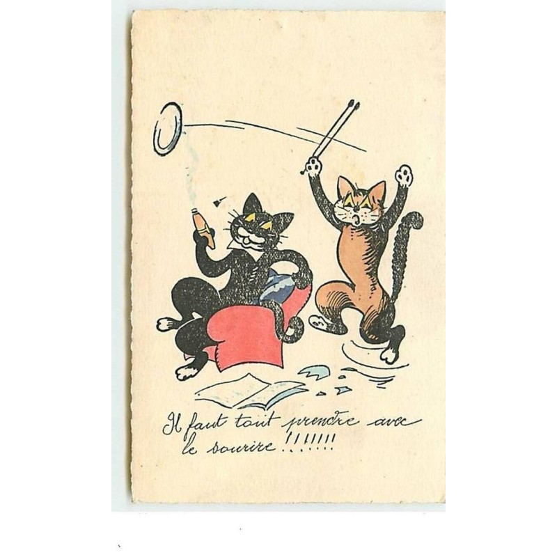 n°5826 - Chats - Il faut tout prendre avec le sourire !!!