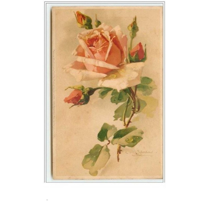 n°60 - Catharina Klein - Rose rose
