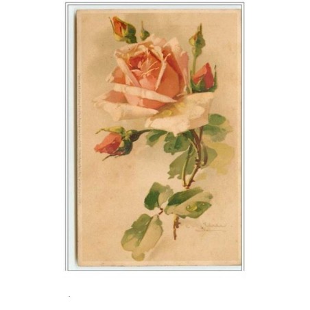 n°60 - Catharina Klein - Rose rose