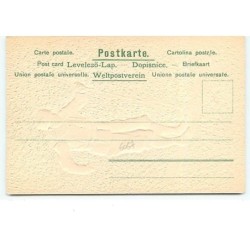 n°6067 - Carte Gaufrée - Heyer - Skieur