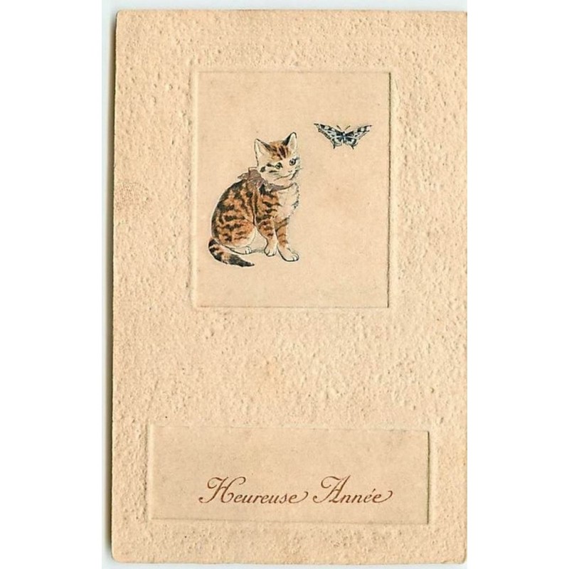 n°12173 - Carte Gaufrée - Heureuses Année - Chat regardant un papillon