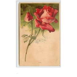 n°61 - Catharina Klein -...