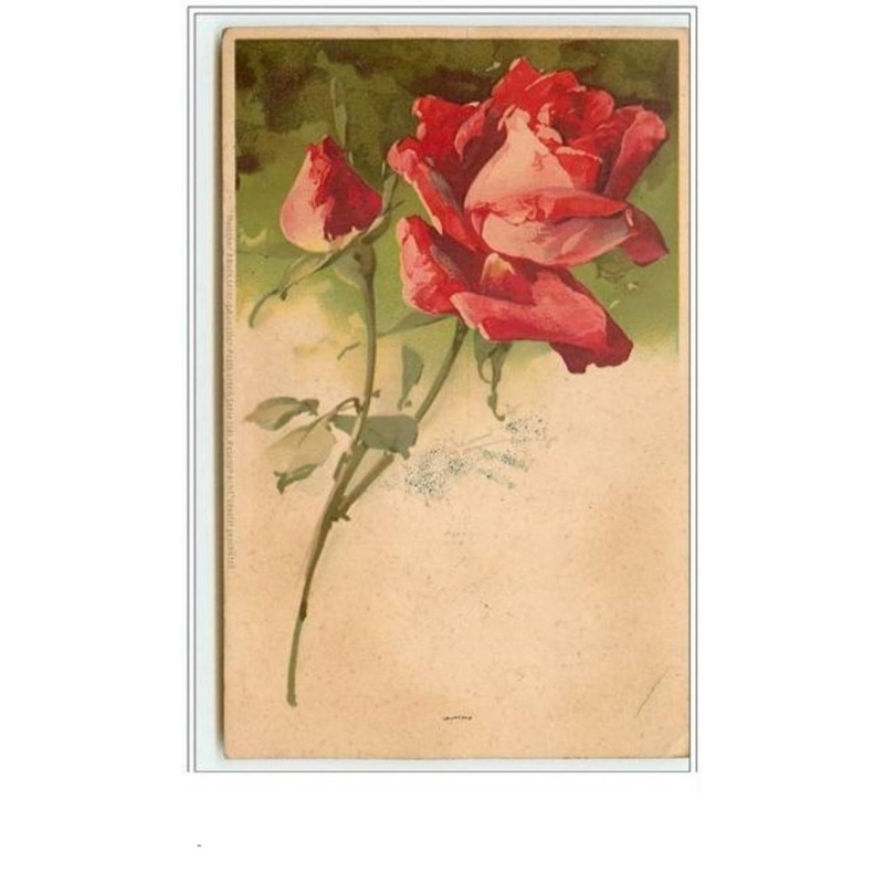 n°61 - Catharina Klein - Rose rouge