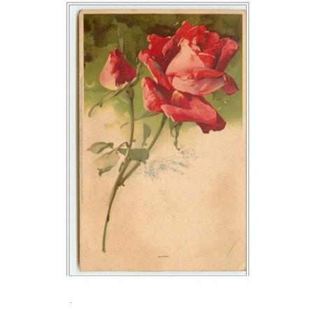 n°61 - Catharina Klein - Rose rouge