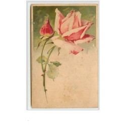 n°62 - Catharina Klein -...