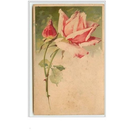 n°62 - Catharina Klein - Rose rose