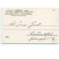 n°6247 - Prosit Neujahr - Couple trinquant devant une fenêtre
