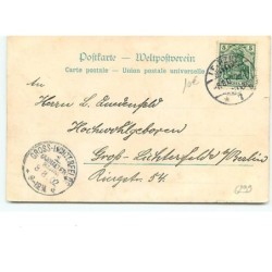 n°6299 - Fillette avec des ailes - Elfes