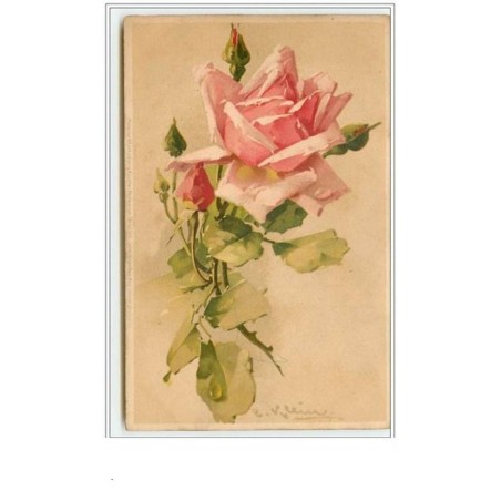 n°63 - Catharina Klein - Rose rose