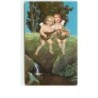 n°6396 - M. Flatscher - Wenau Delila - Angelots