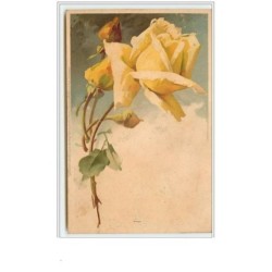 n°65 - Catharina Klein -...