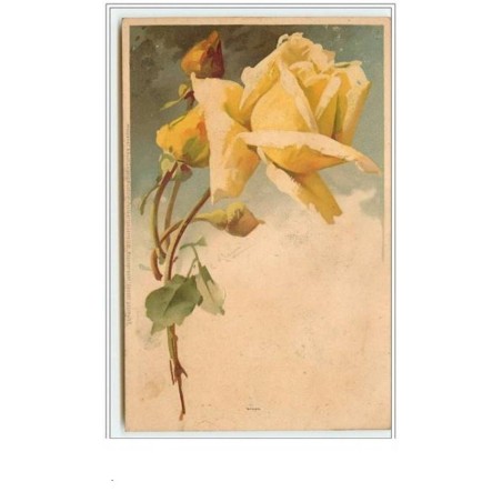 n°65 - Catharina Klein - Rose jaune