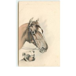 n°6566 - Cheval et Bouledogue