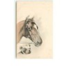 n°6566 - Cheval et Bouledogue