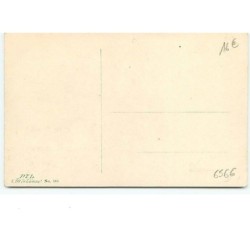 n°6566 - Cheval et Bouledogue