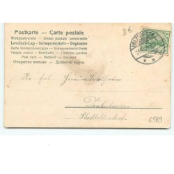 n°6589 - Prosit Neujahr - Femme trinquant avec un verre