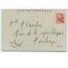 n°6595 - Fillette jouant du piano avec des chiens
