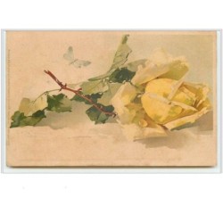 n°67 - Catharina Klein -...