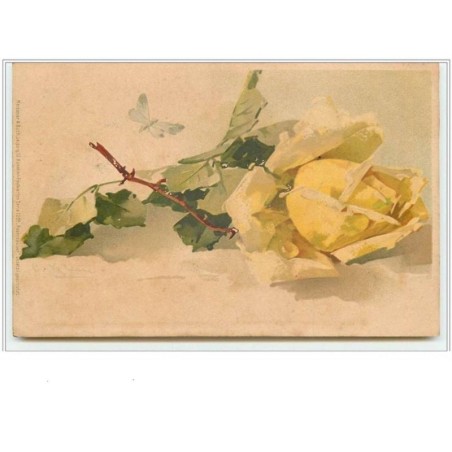 n°67 - Catharina Klein - Rose jaune et papillon