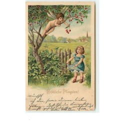 n°6778 - Carte Gaufrée -...