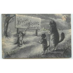 n°10215 - Bonne Année -...