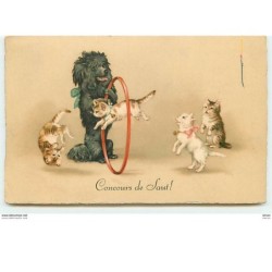 n°7138 - Carte Fantaisie -...
