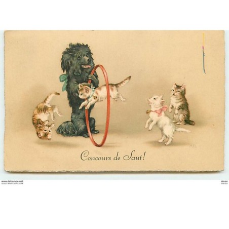 n°7138 - Carte Fantaisie - Concours de saut - Chats sautant dans un cerceau - caniche