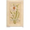 n°7154 - Carte Brodée - Bonne Année - Fleur Blanche