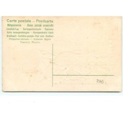 n°7343 - Carte Gaufrée - Souhaits Sincères - Femme avec des trèfles en or