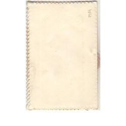n°7354 - Carte Brodée - Bonne Fete - Iris