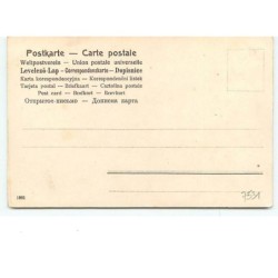 n°7530 - Carte Fantaisie - Un bon nouvel an - Femme assise dans un fer à cheval - cochon